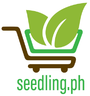 Our new site is coming soon