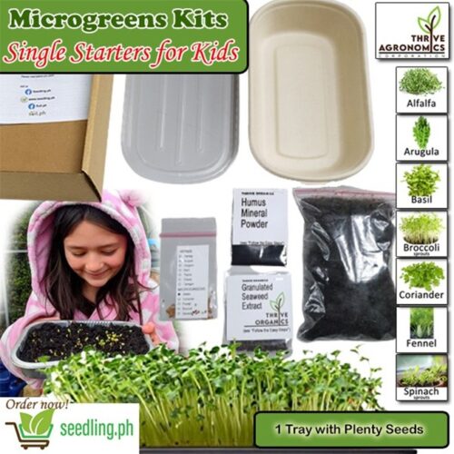 Microgreen kits kids