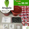 arugula grow kit
