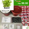 basil grow kit