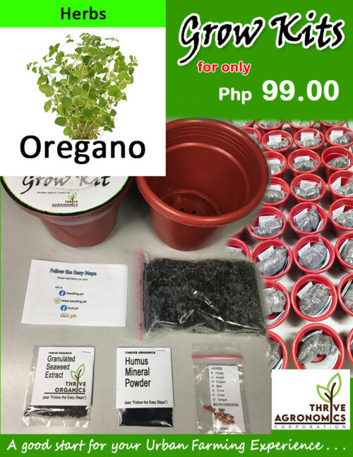 oregano grow kit
