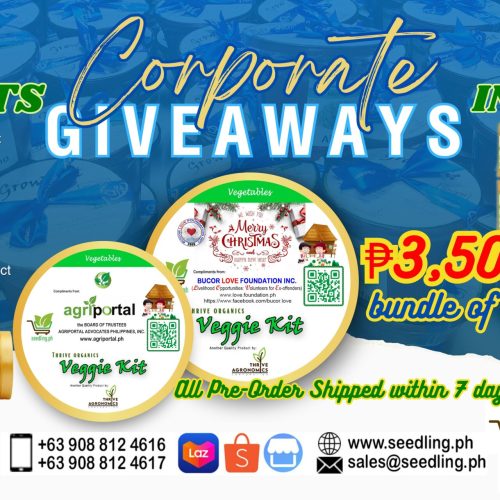 Veggie Grow Kits Corporate Giveaways Bundle 50 pcs at P75.00 each
