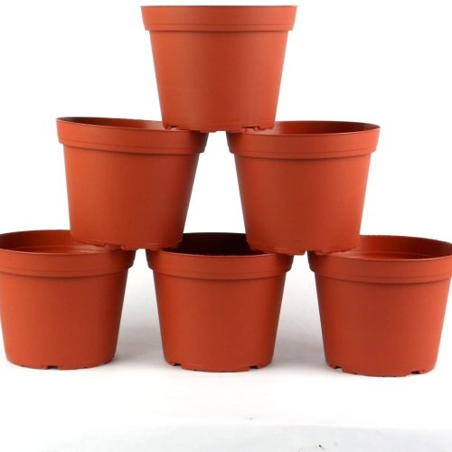 Thrive Organic Pots for Germination